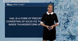 WPTV First Alert Weather Spotters lesson: Kahtia Hall talks hail
