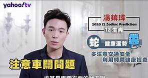 【蛇】2020 生肖健康運勢 - 湯鎮瑋生肖運勢