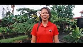 University of Hawaiʻi Hilo (30 sec) - Visit our Campus Today