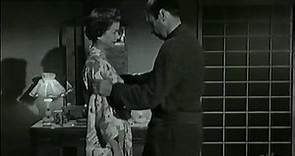 Navy Wife (1956) Gary Merrill Joan Bennett