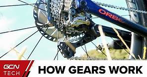 How Do Bike Gears Work? | Bicycle Gears Explained