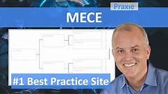 What is the MECE (Mutually Exclusive Collectively Exhaustive) in Lean Six Sigma? || Praxie Software