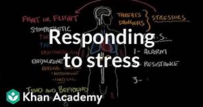 Responding to stress | Processing the Environment | MCAT | Khan Academy
