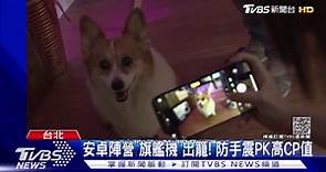 iPhone13新機實測秀！天峰藍、超美粉曝光 相機功能升級