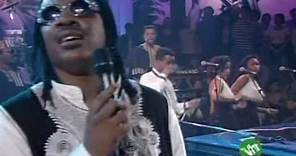 Stevie Wonder - I Just Called To Say I Love You (Live in London, 1995)