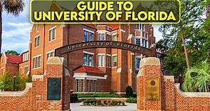 University of Florida Guide | Best Universities in Florida