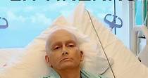 Litvinenko - watch tv series streaming online