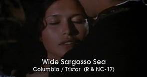 Wide Sargasso Sea (1993)