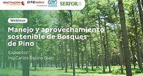 Manejo y aprovechamiento de los Bosques de Pino - CITEmadera