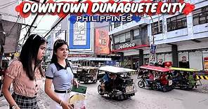 🐵 [HD #DUMAGUETE 🇵🇭 ] DOWNTOWN #DUMAGUETE #2024 #Walking Tour | #Philippines