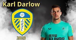 Karl Darlow ● 2023 ● Welcome to Leeds United ● Best Highlights Saves