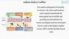 sodium dodecyl sulfate (English) - Medical terminology for medical students -