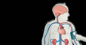 Hipertensión | ¿Qué es la Hipertensión Arterial? | PortalCLÍNIC