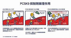 新型降膽固醇藥物 PCSK9 抑制劑　有效控醇起效快 - 香港經濟日報 - TOPick - 特約