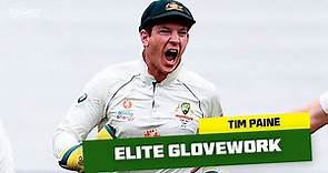 The very best of Tim Paine behind the stumps