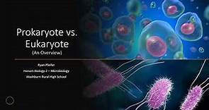 Prokaryote vs. Eukaryote (An Overview)