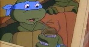 Teenage Mutant Ninja Turtles (TV Series 1987–1996)