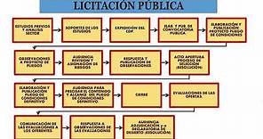 LICITACIÓN PÚBLICA PASOS Y TIEMPOS