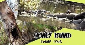 Dr. Wagner’s Honey Island Swamp Tour
