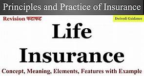 Life Insurance, meaning, Example, Elements of Life Insurance, Principles and practice of insurance