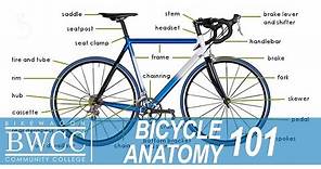 Bicycle Anatomy 101: Learn All the Parts of a Bike