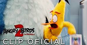 ANGRY BIRDS 2: LA PELÍCULA - "En misión secreta" Tráiler en ESPAÑOL | Sony Pictures España