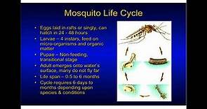 Mosquito Biology, Surveillance, and Control with Elmer Gray