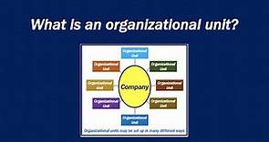 What is an organizational unit?