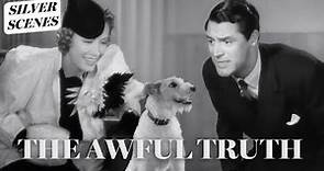 Who Gets The Dog In The Divorce | The Awful Truth | Silver Scenes