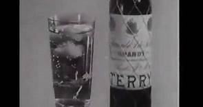 Brandy Terry - Años 60