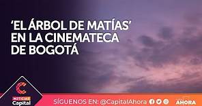 Estreno del documental ‘El árbol de Matías’ en la Cinemateca de Bogotá