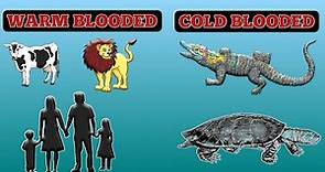 Warm blooded and cold blooded animals | What is the difference between both |