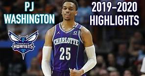 P.J. Washington 2019-2020 Rookie Highlights