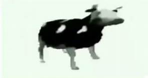 meme de la vaca bailando (1hora)
