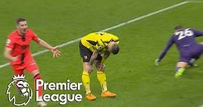 Juraj Kucka own goal seals Norwich City win against Watford | Premier League | NBC Sports