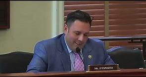 Representative Anthony D'Esposito (NY-04) questions witnesses over election security in America