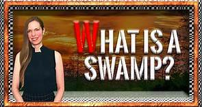 What Is A Swamp? 5 Things You Need To Know