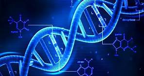 DNA - What is DNA? - Basics of DNA