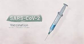 Biology of SARS-CoV-2: Vaccination | HHMI BioInteractive Video