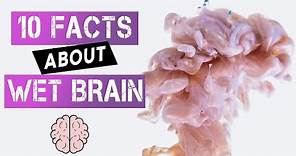 Wet Brain Syndrome - 10 Facts