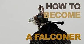 How To Become A Falconer