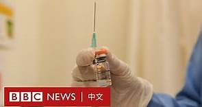 科興疫苗到貨土耳其 居民相信中國貨嗎？－ BBC News 中文