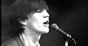 Wayne Fontana & The Mindbenders - "The Game Of Love" - Live 1965