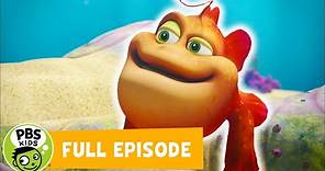 Splash & Bubbles FULL EPISODE | My Son, The Frogfish/A Day for Papa | PBS KIDS