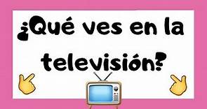 PROGRAMAS DE TELEVISIÓN - TIPOS DE AUDIENCIAS Y OBJETIVOS