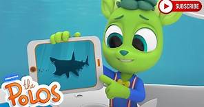 Sharks! | Adventure Learning | MarcoPolo World School | Learn At Home