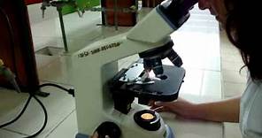 Uso del microscopio óptico compuesto