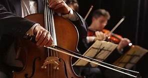 String Quartet - Classical Violin, Cello and Viola Music 10 Hours -Best Relaxing Music
