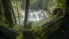 Visit Your Pacific Northwest National Forest