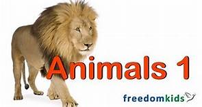 Kids Bible Videos - Animals Part 1 | Freedom Kids